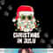 christmas in july santa hat sunglasses beach summer png, sublimation copy.jpg
