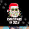 christmas in july santa hat sunglasses beach summer png, sublimation copy.jpg