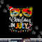Christmas In July Santa Hat Sunglasses Summer Vacation png, sublimation copy.jpg