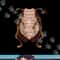 Cool Headless Cockroach Funny Lazy Halloween Costume Gift png, sublimation copy.jpg