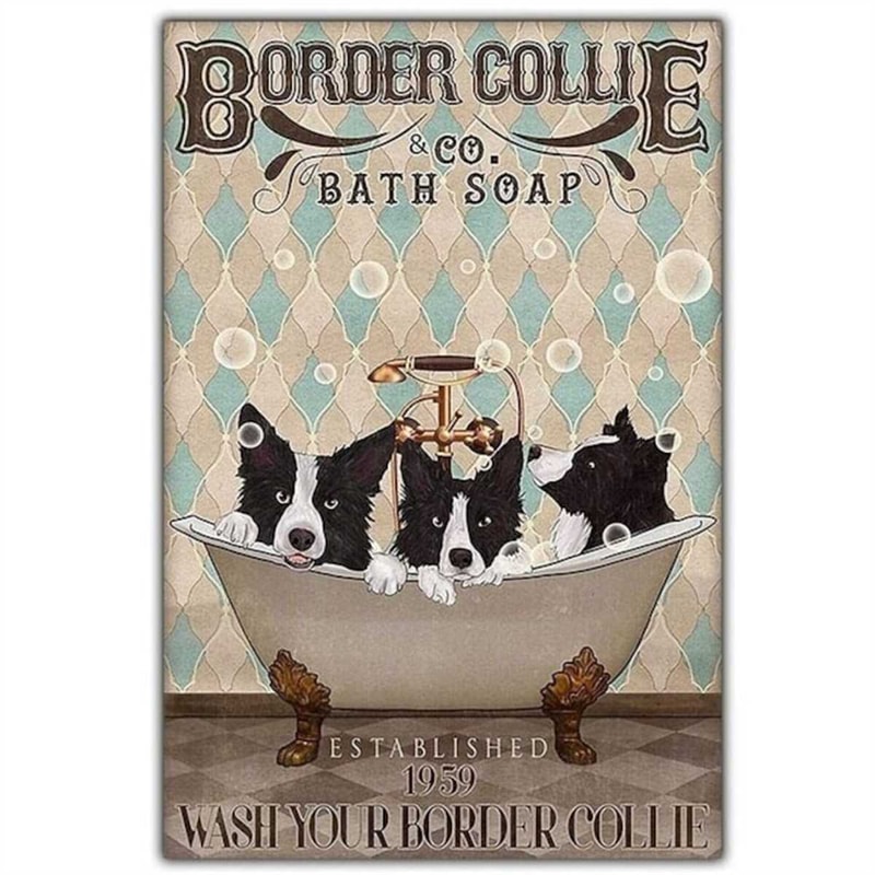 MR-18720238821-border-collie-co-bath-soap-wash-your-border-collie-canvas-border-collie.jpg