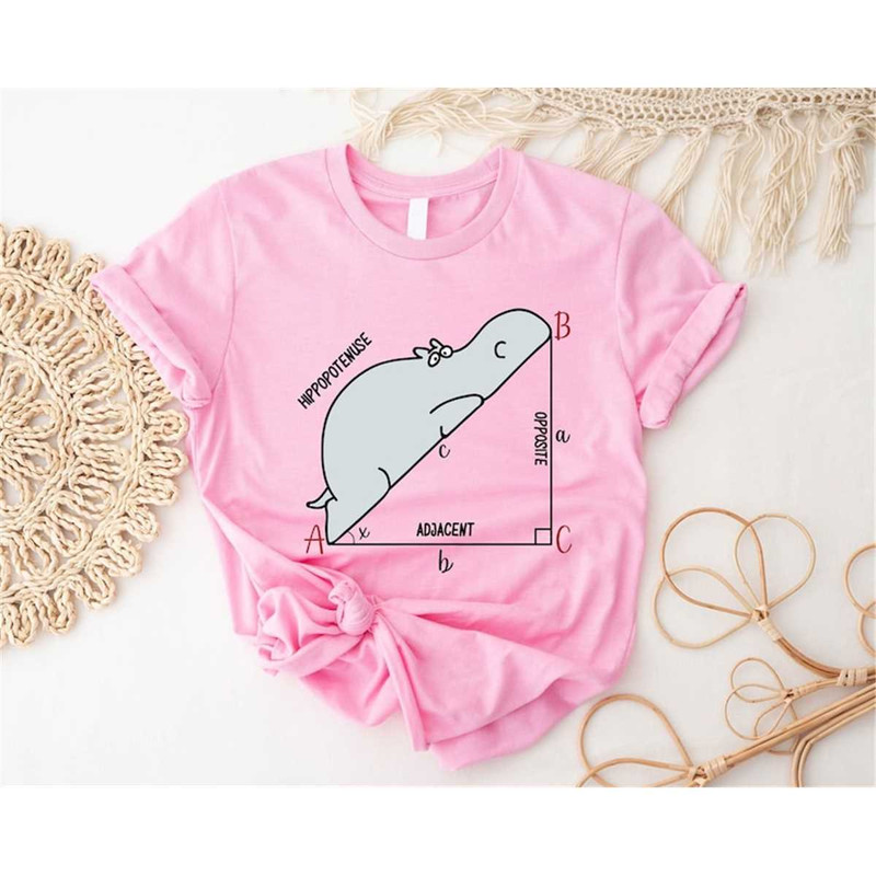 MR-187202384527-funny-math-shirt-funny-hippopotenuse-shirt-math-geek-shirt-image-1.jpg