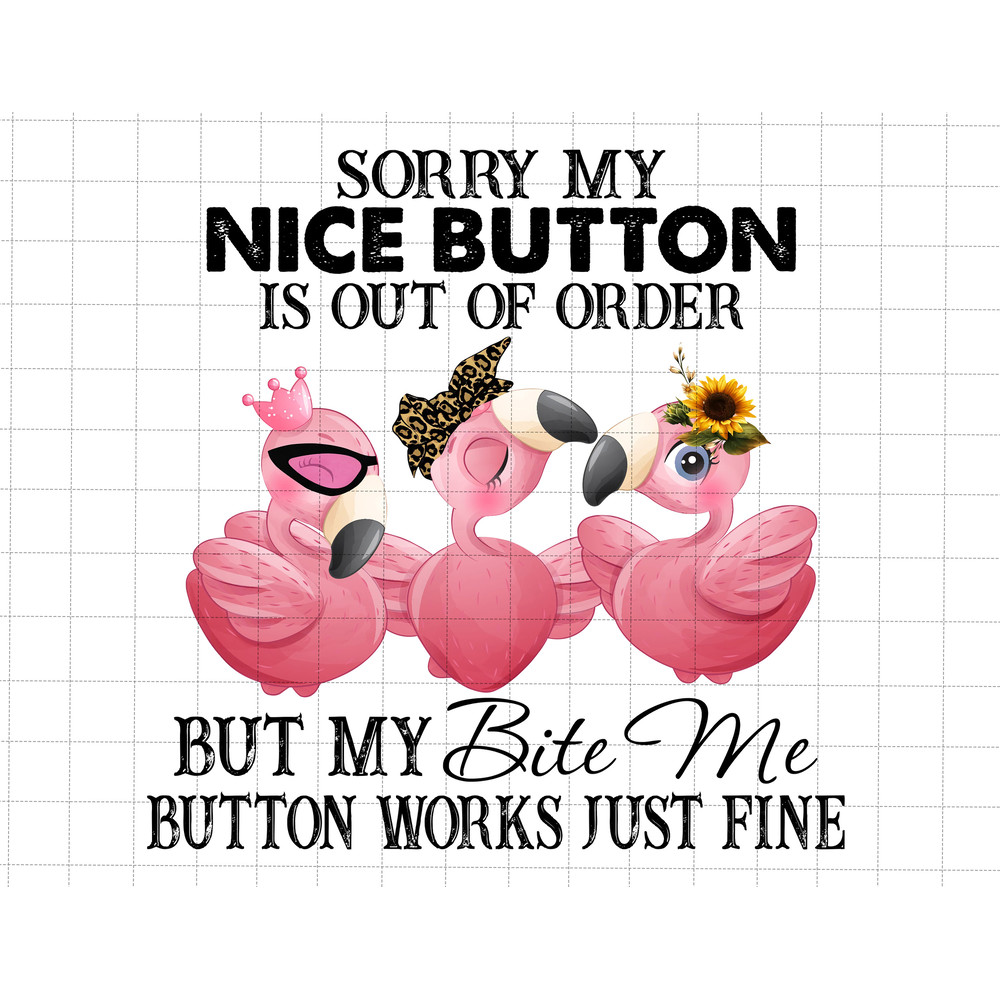 Sorry My Nice Button Is Out Of Order But My Bite Me Button Works Just Fine Flamingo Png, Funny Saying PNG, Funny Coworker, Sublimation Quote - 1.jpg
