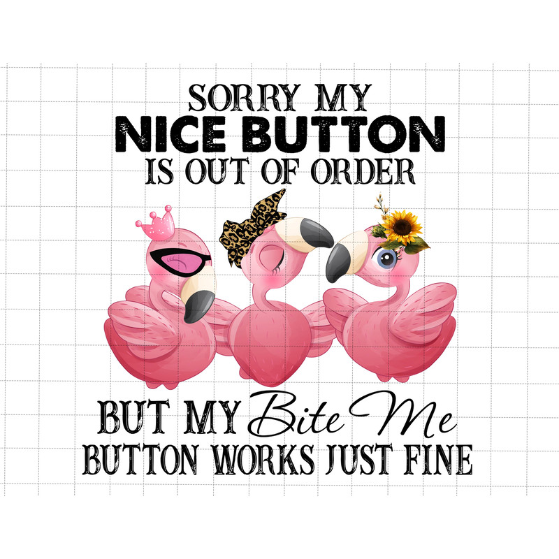 Sorry My Nice Button Is Out Of Order But My Bite Me Button Works Just Fine Flamingo Png, Funny Saying PNG, Funny Coworker, Sublimation Quote - 1.jpg
