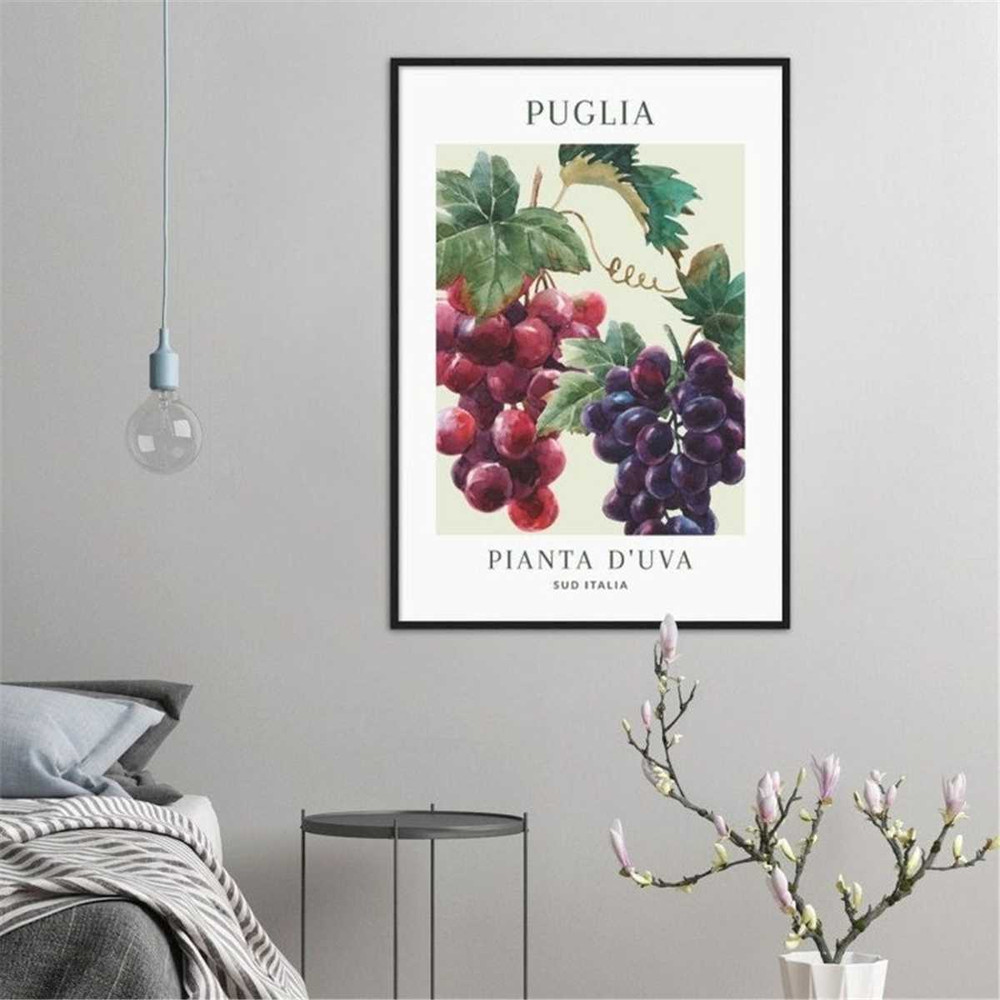 MR-1872023112832-puglia-pianta-duva-grapes-classic-spanish-italian-french-image-1.jpg