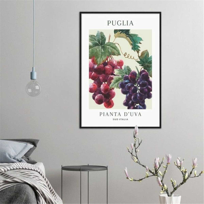 MR-1872023112832-puglia-pianta-duva-grapes-classic-spanish-italian-french-image-1.jpg