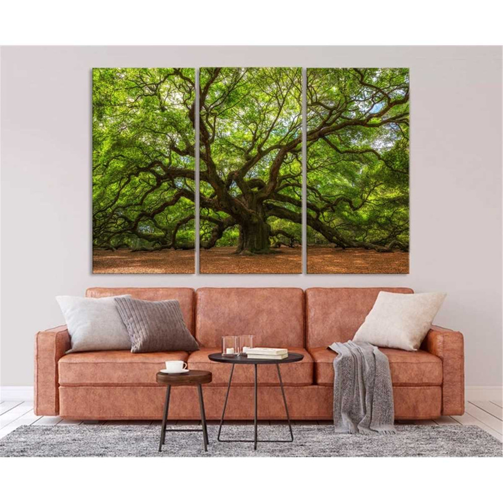 MR-1872023222434-angel-oak-big-angel-oak-canvas-forest-wall-art-nature-canvas-image-1.jpg