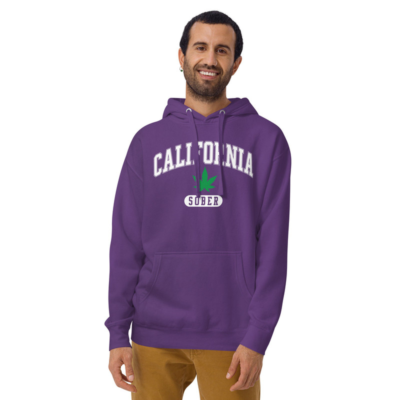 California Sober Hoodie Demi Cali Sober California Sober Sweatshirt - 8.jpg