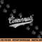 CINCINNATI OHIO RETRO SCRIPT SPORTS JERSEY FLAG png, sublimation copy.jpg