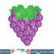 Grape Fruit Easy Lazy DIY Halloween Costume png, sublimation copy.jpg