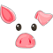 Cute Pig Face Halloween Costume Pig Family Matching png, sublimation.png