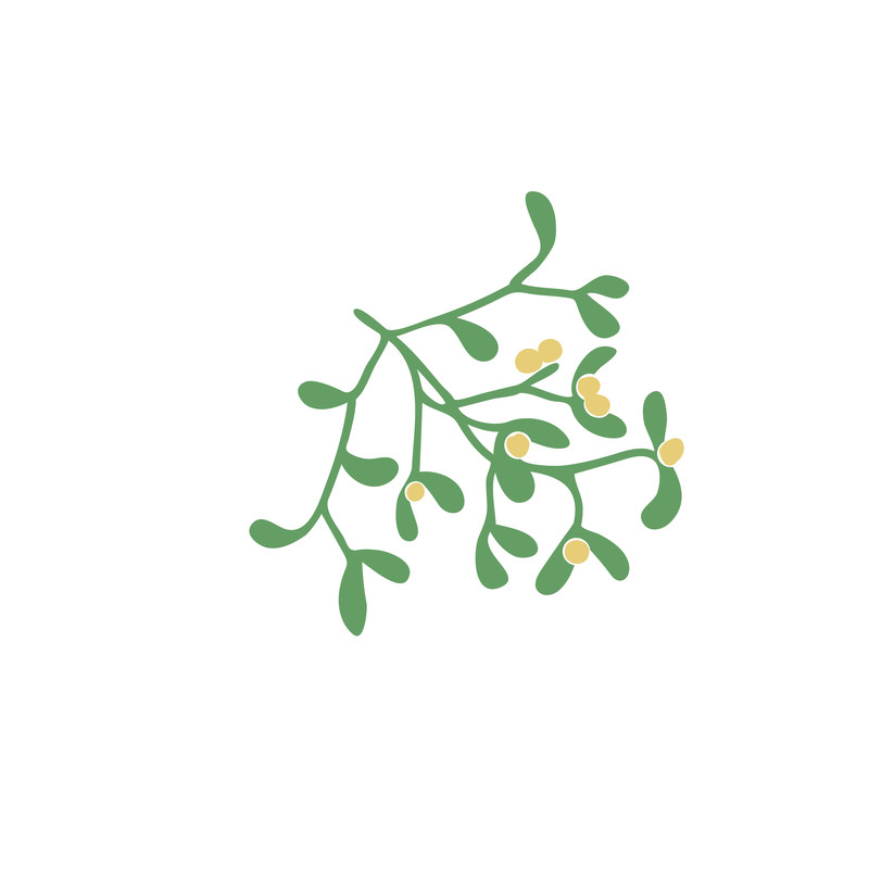 mistletoe.png