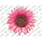 MR-207202395719-pink-leopard-sunflower-png-sunflower-png-file-pink-leopard-image-1.jpg