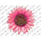 MR-207202395722-pink-leopard-sunflower-png-sunflower-png-file-pink-leopard-image-1.jpg
