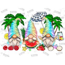 summer gnome png, sublimation designs, gnome png, summer vibes, summer time, summer png, beach, gnome beach, sublimation