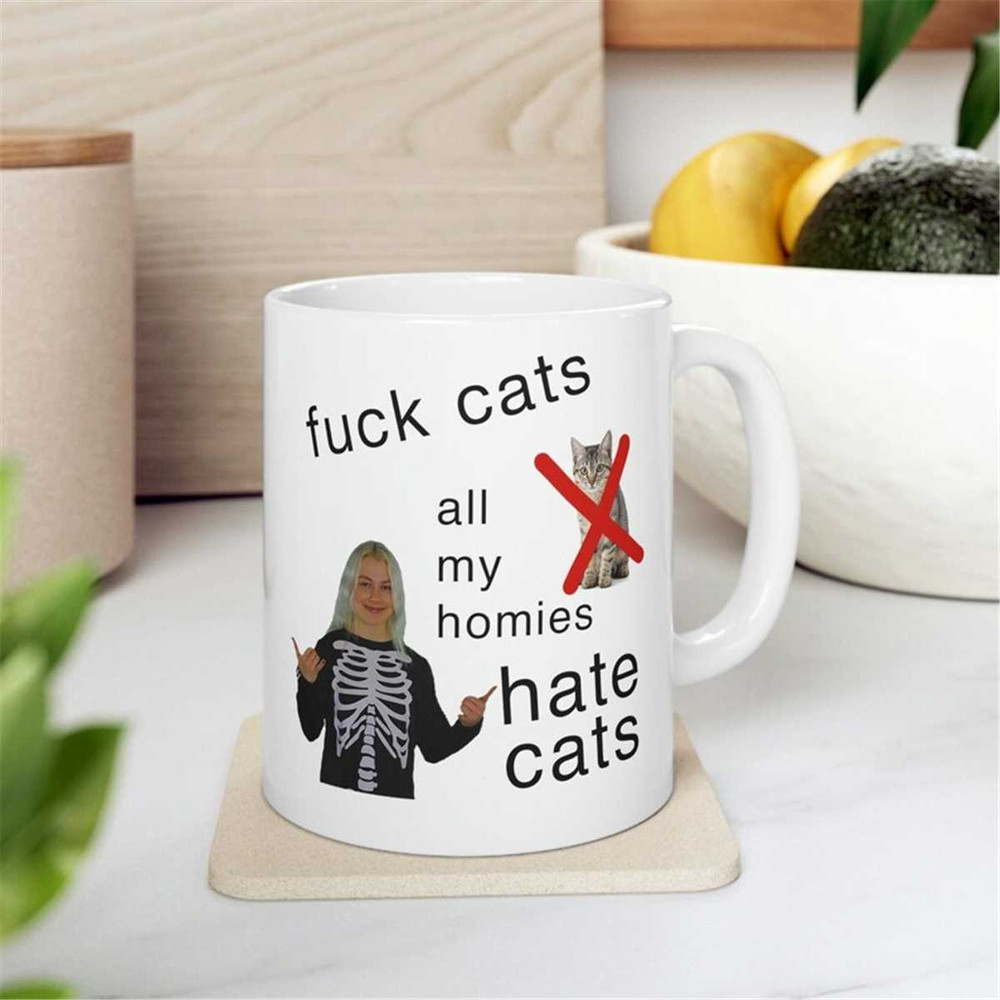 MR-2072023154715-phoebe-bridgers-mug-phoebe-hates-cats-mug-phoebe-bridgers-image-1.jpg