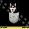 Cute Siberian Husky Sibe Chukcha for dog lovers pocket owner png, sublimation copy.jpg