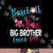 Baseball Gender Reveal-Baseball or Bow Big Brother Loves You png, sublimation copy.jpg