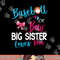 Baseball Gender Reveal-Baseball or Bow Big Sister Loves You png, sublimation copy.jpg
