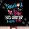 Baseball Gender Reveal-Baseball or Bow Big Sister Loves You png, sublimation copy.jpg