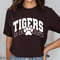 Tigers SVG PNG, Tigers Paw svg, Tigers Mascot svg, Tigers Cheer svg, Tigers Vibes svg, School Spirit svg, Tigers Sport svg, Tigers Love svg - 3.jpg