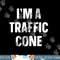 I m A Traffic Cone Shirt Adult Kids Costume Funny Halloween png, sublimation copy.jpg