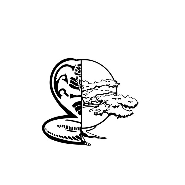 "Cobra kai svg, cobra kai png, eagle fang svg, karate kid sv Inspire