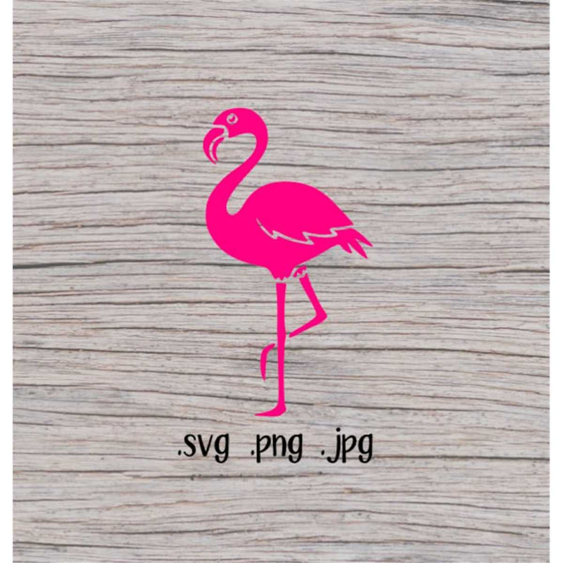 MR-2072023182421-flamingo-svg-flamingo-svg-file-svg-files-flamingo-png-image-1.jpg