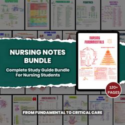 Complete Study Guide Bundle for Nursing Students, Nursing School Notes, Med-Surg Fundamentals Maternity Peds Pharm