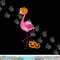 Flamingo Pumpkin Head Costume Cute Easy Bird Halloween Gift png,sublimation copy.jpg