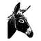 MR-edwardoballardstore-anm0405194-217202311944.jpeg