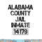 Funny Alabama County Jail Inmate Halloween Jail Costume png, sublimation copy.jpg