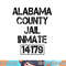 Funny Alabama County Jail Inmate Halloween Jail Costume png, sublimation copy.jpg