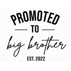promoted to big brother est 2022, new big brother svg, big brother cut file, new baby svg, new baby cut file, pregnancy