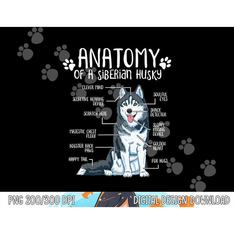 Funny Anatomy Siberian Husky Dog Lover png, sublimation copy.jpg
