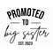 MR-2172023122116-promoted-to-big-sister-est-2023-new-big-sister-svg-big-image-1.jpg