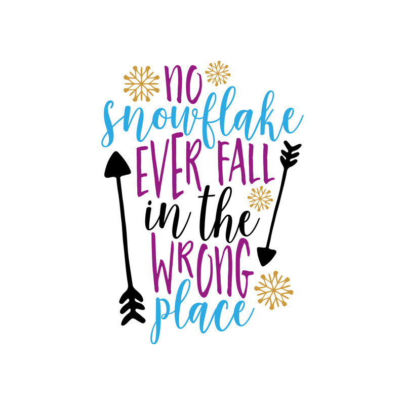 No Snowflakes Ever Fall In The Wrong Place.png