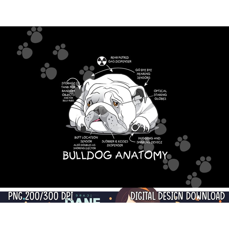 Funny Cute English Bulldog Anatomy Dog Biology Gift png, sublimation copy.jpg