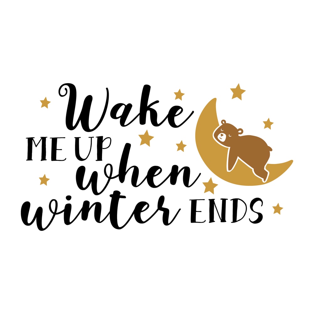Wake Me Up When Winter Ends.png