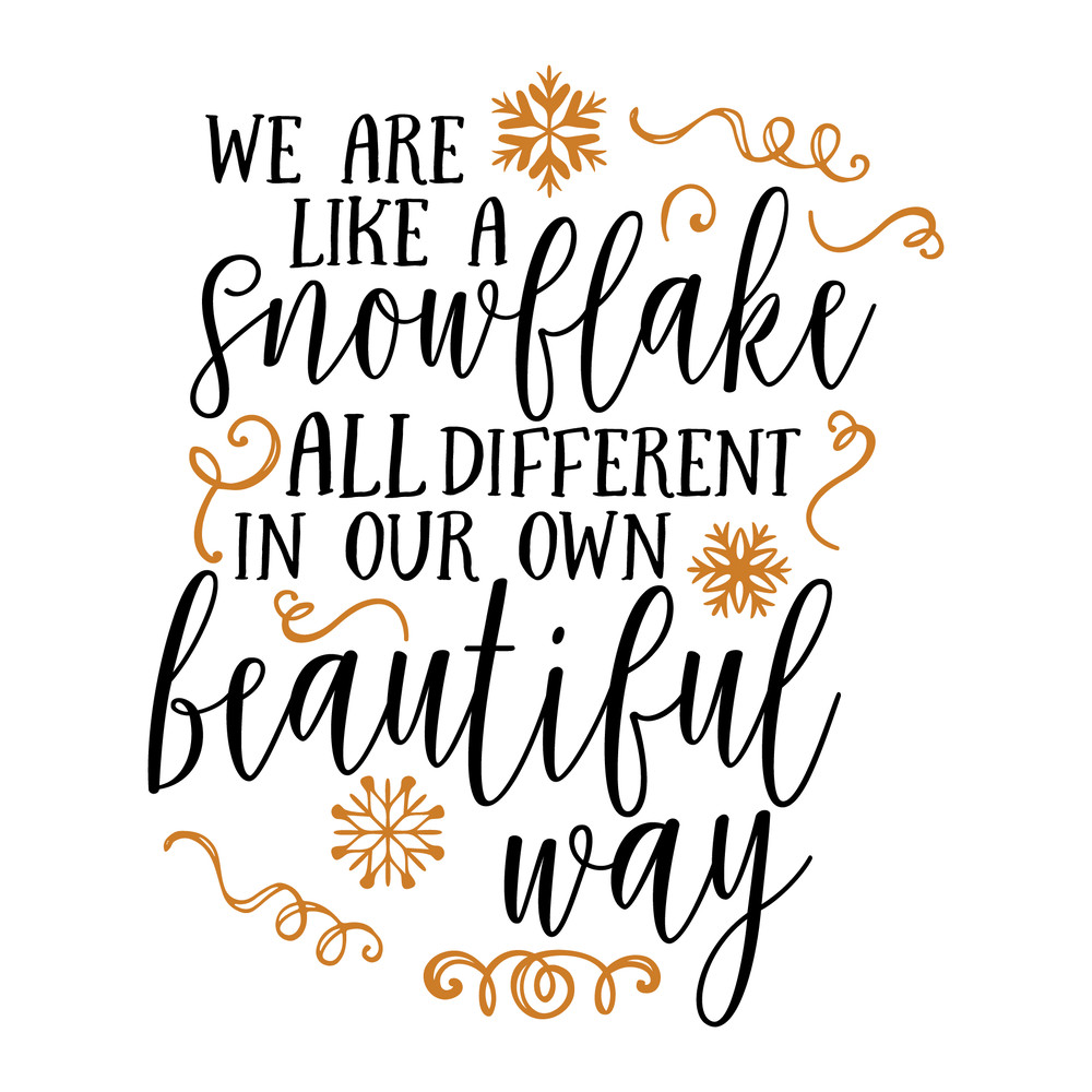 We Are Like a Snowflake.png