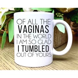 funny mothers day mugs for mom gift for mother's day gift from daughter from son, funny gifts for mom funny mug for moth