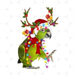 Parrot Christmas Svg, Animal Svg, Green Parrot Svg, Reindeer Svg, Santa Hat Svg, Christmas Light Svg, Winter Svg, Santa