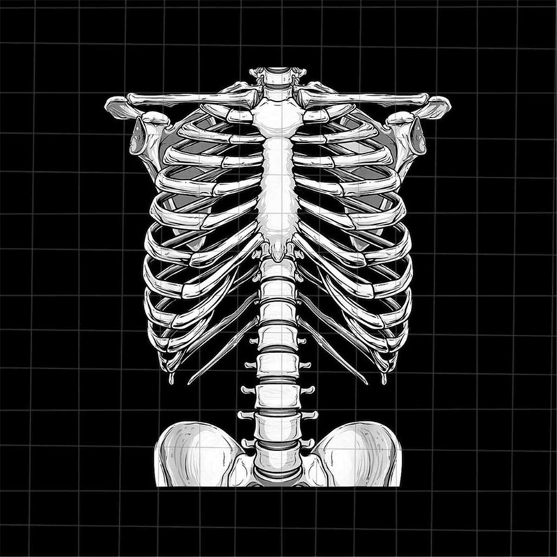 MR-227202310156-skeleton-rib-cage-halloween-png-skeletons-halloween-png-image-1.jpg