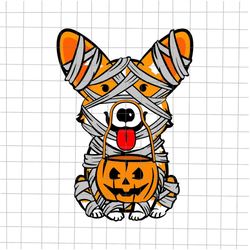 welsh corgi mummy halloween svg, funny corgi halloween svg, corgi mummy svg, love dog corgi halloween svg, ghost dog hal