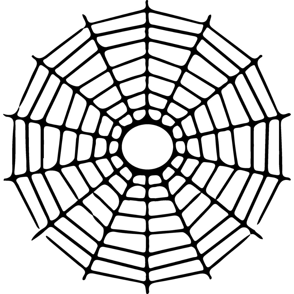 spiderweb-34.jpg
