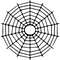 spiderweb-34.jpg