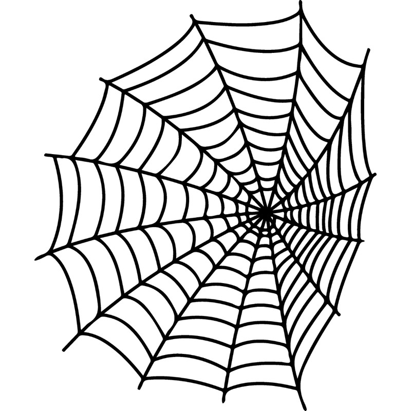 spiderweb-36.jpg