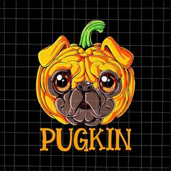 pugkin halloween png, funny pug halloween, pug pumpkin png, love dog pug halloween png, dog halloween png, pug halloween