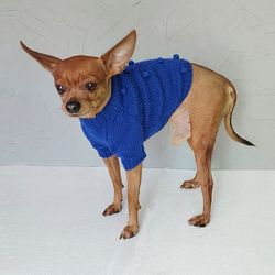 Knitted sweater for a dog Blue sweater for small dog Dog clothes Warm sweater Dog sweater