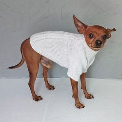 Knitted sweater for a dog Sweater for small dog Warm dog sweater Dog clothes